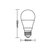 LAMPADA LED BULBO 9,9W 6500K TKL75/1100 CERTIFICADA BIVOLT A60 TASCHIBRA - comprar online