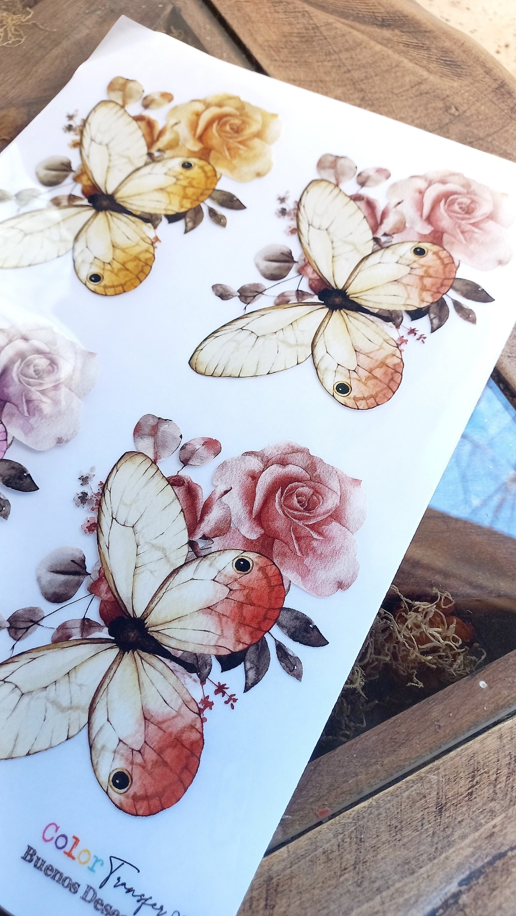 NUEVO TRANSFER COLOR. BUENOS DESEOS 098. Mariposas x 4 30 22cm A4