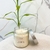 Vela Perfumada Bamboo 180g - comprar online