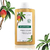 KLORANE SHAMPOO DE MANGO 400ml - comprar online