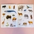 Animales salvajes: Libro de stickers - comprar online