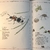 Inventario Ilustrado de insectos - Club EnLápiz
