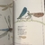 Inventario Ilustrado de insectos - tienda online
