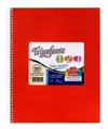 TRIUNFANTE CUADERNO TIPO ABC C/ESPIRAL 100 HJS RAYADAS ( 43982 )