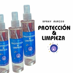 SPRAY LIMPIEZA Y PROTECCIÓN