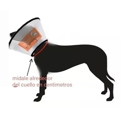 Collas Isabelino con Velcro Talla 5 41-48 Cms - MiMaskotica | Tienda para Mascotas