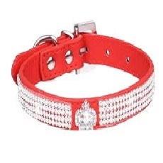 Imagen de Collar Glossy Mascotas Pequeñas PA67B