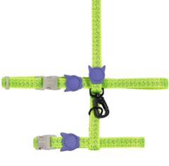 Set para Gato ZeeCat Nox Lumen Harness + Leash