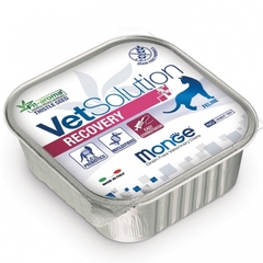 Comida para gato Monge VetSolution Recovery 100 Gr