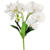 Orquídea Branca Buquê 40x30cm Planta Artificial Toque Real