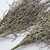 Planta Artificial Capim Com Raiz Marrom 42x15cm Vime Kit 3pc na internet