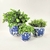 Imagem do Vaso Azul E Branco 10/15/20cm Floral Porcelana Kit 3pc