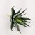 Suculenta Haworthia Agave Planta Artificial Permanente 14cm na internet