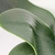 Folha De Orquídea Com Raiz 30x10cm Planta Artificial - loja online