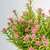 Flor Rosa Com Folhagem Buquê 36x15cm Planta Artificial - Inigual Decor