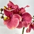 Arranjo De Orquídea Vermelha Vaso Preto 50cm Inigual - Inigual Decor