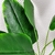 Folhagem Bananeira Buque Planta Artificial Permanente 77cm - loja online