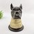 Potiche Pet Pote Decorativo Cachorro Bulldog 17x12cm Decor - comprar online