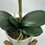 Imagem do Arranjo De Orquídea Branca Vaso Com Suporte 51cm Inigual
