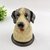 Potiche Pet Pote Decorativo Cachorro Labrador 16x12cm Decor na internet