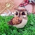 Coruja Pinha com Marrom Enfeite Decorativo de Natal 10x9x14cm