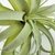 Suculenta Tislandia Verde Planta Artificial Permanente 35cm - Inigual Decor