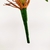 Folha De Orquídea Com Raiz 42x37cm Planta Artificial na internet