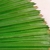 Palmeira Leque Planta Artificial 84x30cm Toque Real Silicone - Inigual Decor