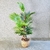 Árvore Palmeira Leque Artificial 160x60cm Planta Permanente - comprar online