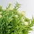 Flor Branca Com Folhagem Buquê 36x15cm Planta Artificial - loja online
