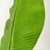 Imagem do Folha de Bananeira Planta Artificial Permanente 96x23cm T Real