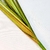 Imagem do Capim Verde Folhagem 90X10cm Planta Artificial Kit 3pc
