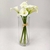 Imagem do Vaso Decorativo de Vidro Transparente 25x10cm P