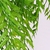 Pendente Samambaia Verde 80x15x10cm Planta Artificial na internet