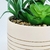 Vaso Com Arranjo De Suculenta 17x13x13cm Planta Artificial na internet