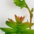 Suculenta Com Broto 19x15cm Planta Artificial Permanente - loja online