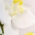 Orquídea Branca Haste 50x15cm Planta Artificial Toque Real - Inigual Decor