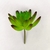 Folhagem Suculenta Hookeril 9x7x7cm Planta Artificial na internet