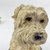 Potiche Pet Pote Decorativo Cachorro West Highland 16x12cm na internet
