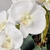 Arranjo De Orquídea Vaso Exclusivo Inigual Centro De Mesa na internet
