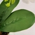 Orquídea Branca Buquê 40x30cm Planta Artificial Toque Real - loja online