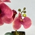 Arranjo De Orquídea Vermelha Vaso Preto 50cm Inigual na internet