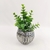 Buque Mini Eucalipto Verde 20x11cm Planta Artificial Decora - Inigual Decor