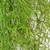 Pendente Aspargo 86x18cm Planta Artificial Permanente na internet