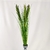 Capim Com Semente Planta Artificial Verde 92x6cm Kit 3pc