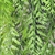Pendente Samambaia Verde 80x15cm Planta Artificial Kit 3pc na internet