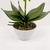 Orquídea Laranja Arranjo Com Vaso 46x19cm Planta Artificial - Inigual Decor