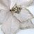 Poinsettia Champanhe Luxo 21cm Bico De Papagaio Natal na internet