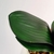 Orquídea Vermelha 3D 47x12x10cm Planta Artificial Toque Real - Inigual Decor