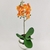 Orquídea Laranja Haste 50x15cm Planta Artificial Toque Real - Inigual Decor